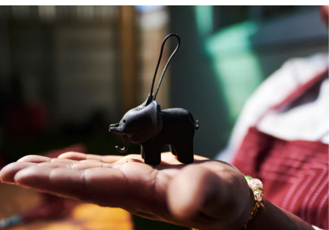 Lion Leather Keychains-Black