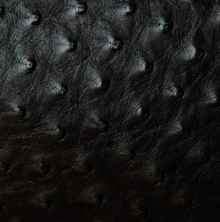 Men's Bifold Wallet (with coin section)