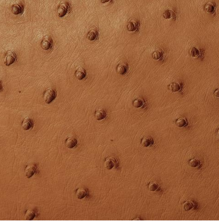 Ostrich Top Handle Crossbody Bag