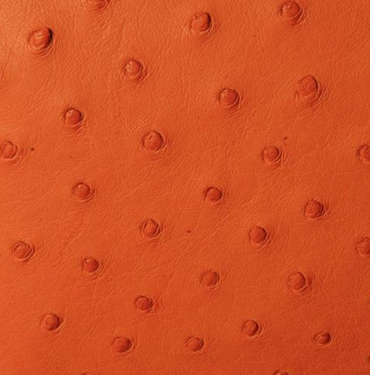 Men's Bifold Wallet (with coin section)