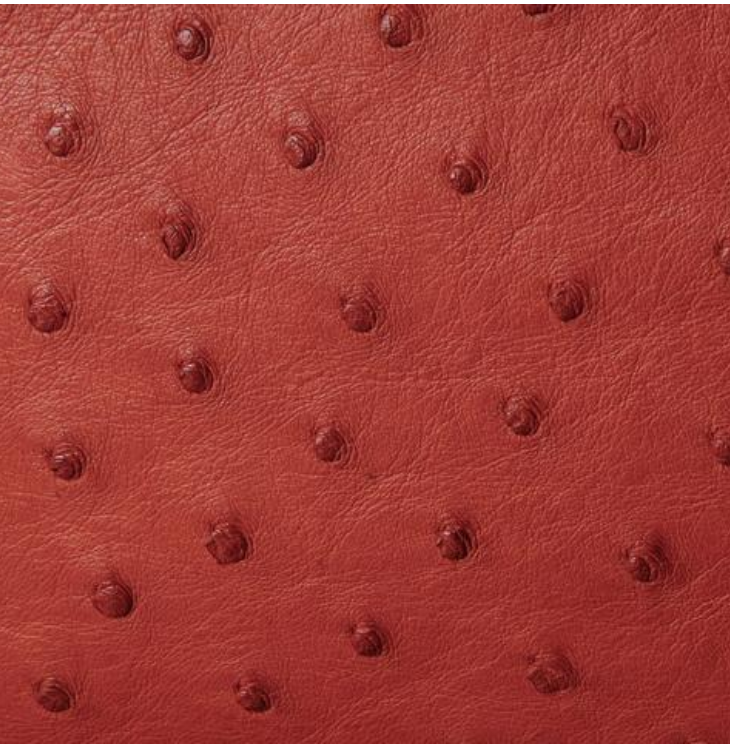 Men's Bifold Wallet (with coin section)