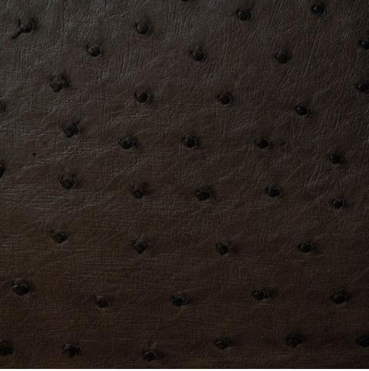 Men's Bifold Wallet (with coin section)