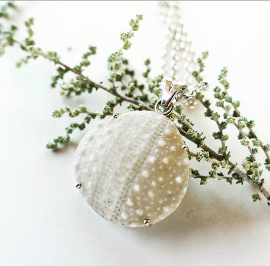 Sea Urchin Necklaces
