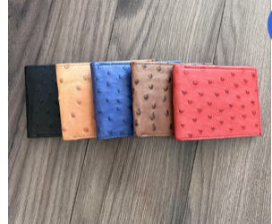 Ostrich Wallet: Mens Bifold Slim