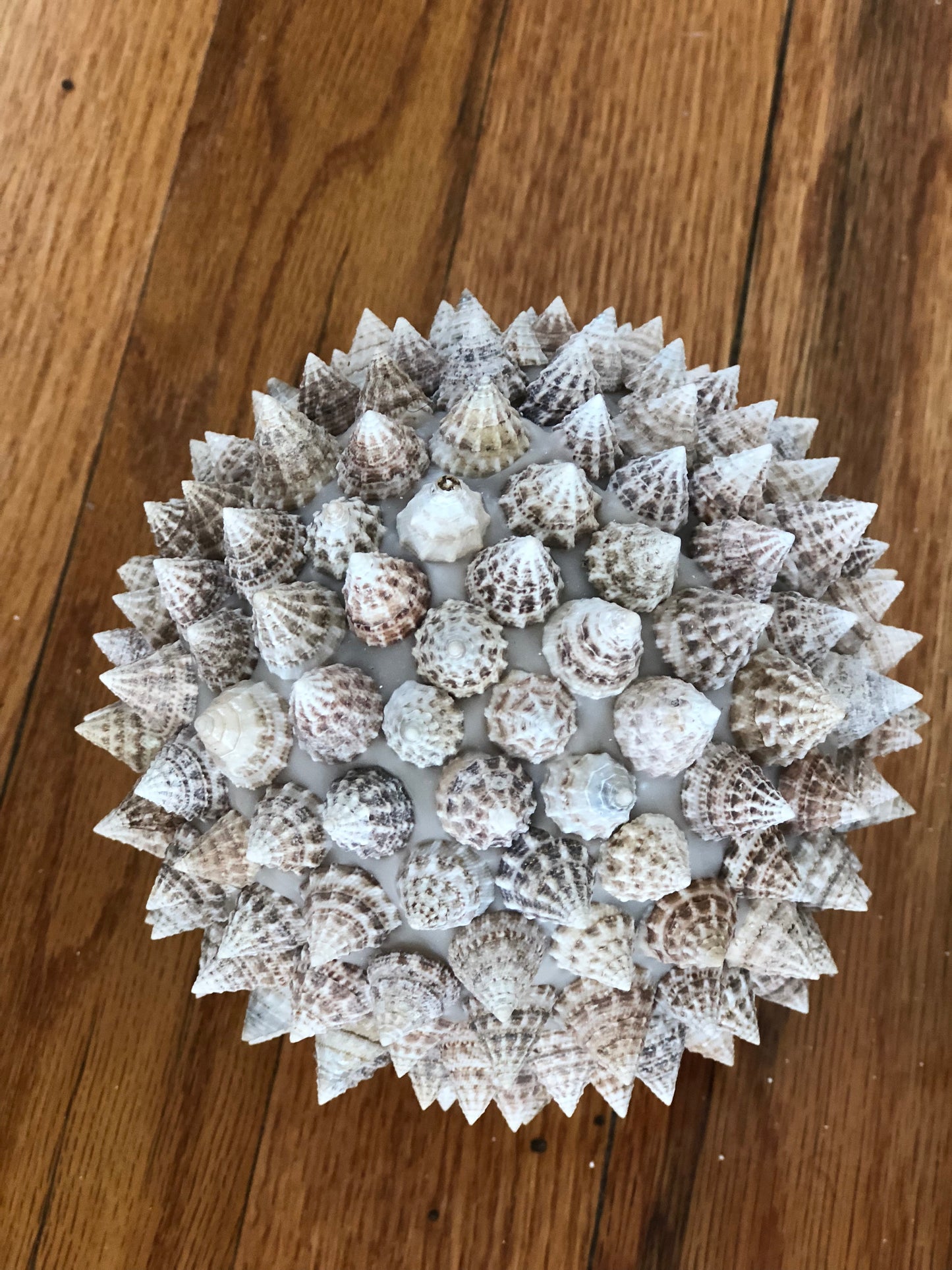 Shell Spike Balls