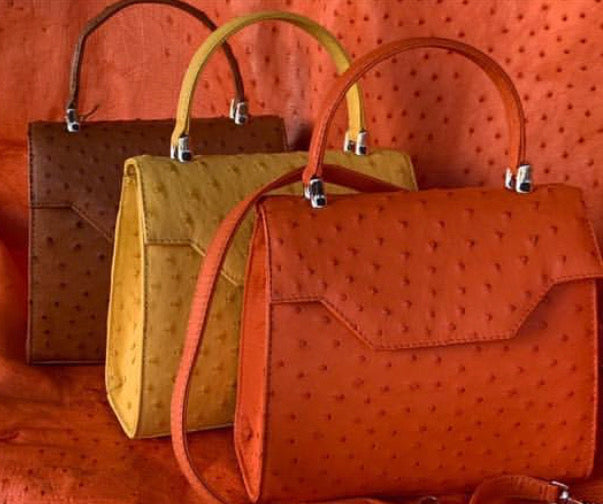 Aieda Luxury Leather Bag – ZORNNA