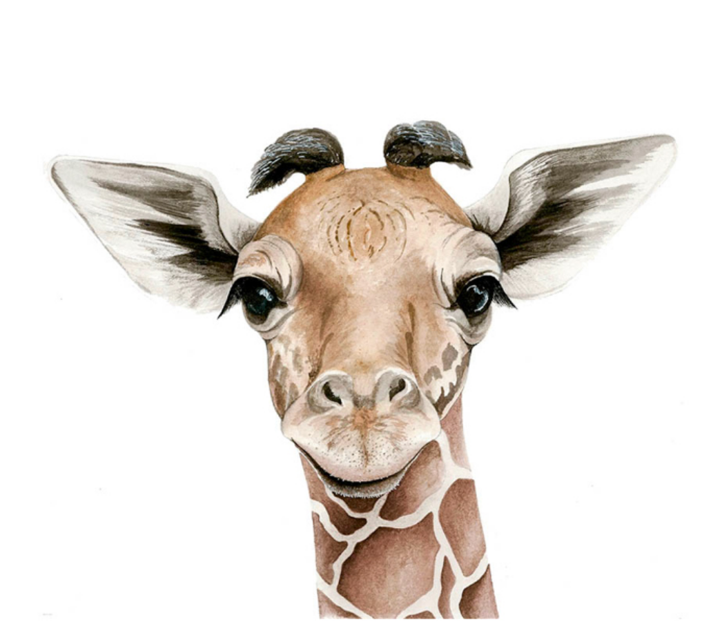 Baby Safari Animal Watercolors