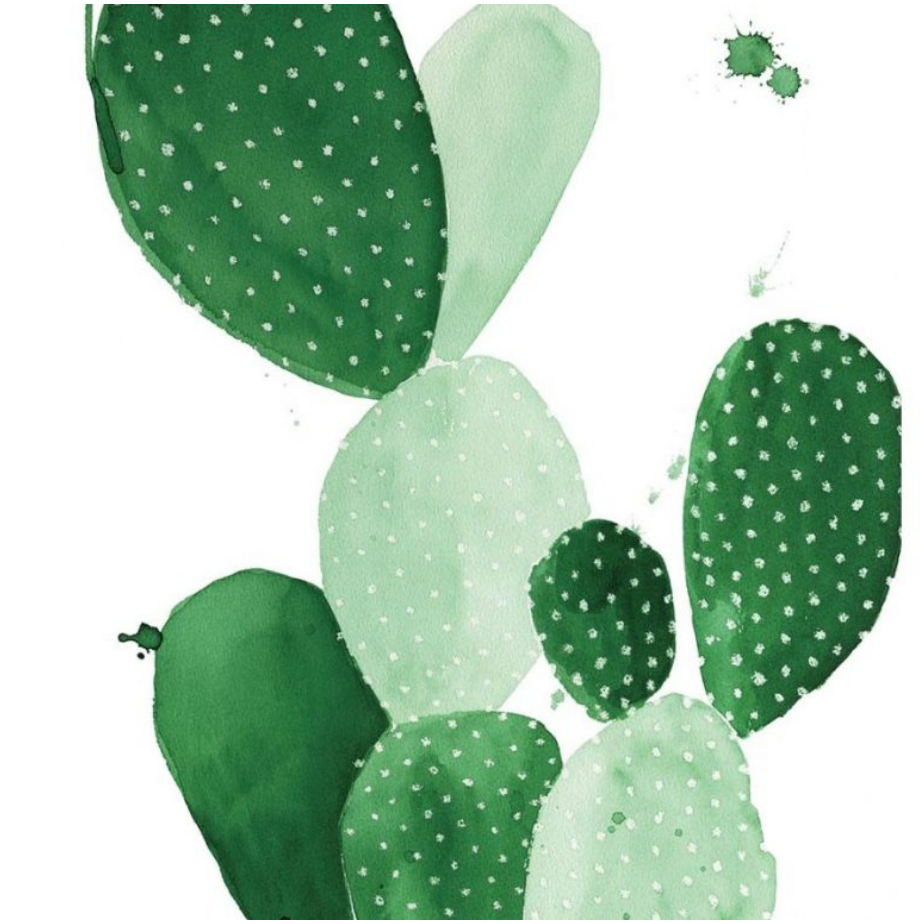 Cacti Art Prints