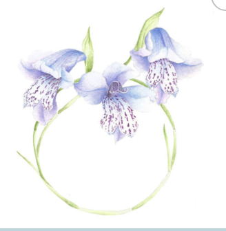 Single Botanical Watercolor Prints