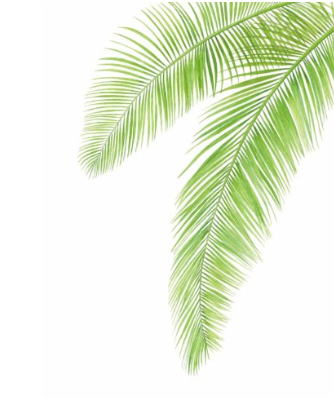 Single Botanical Watercolor Prints