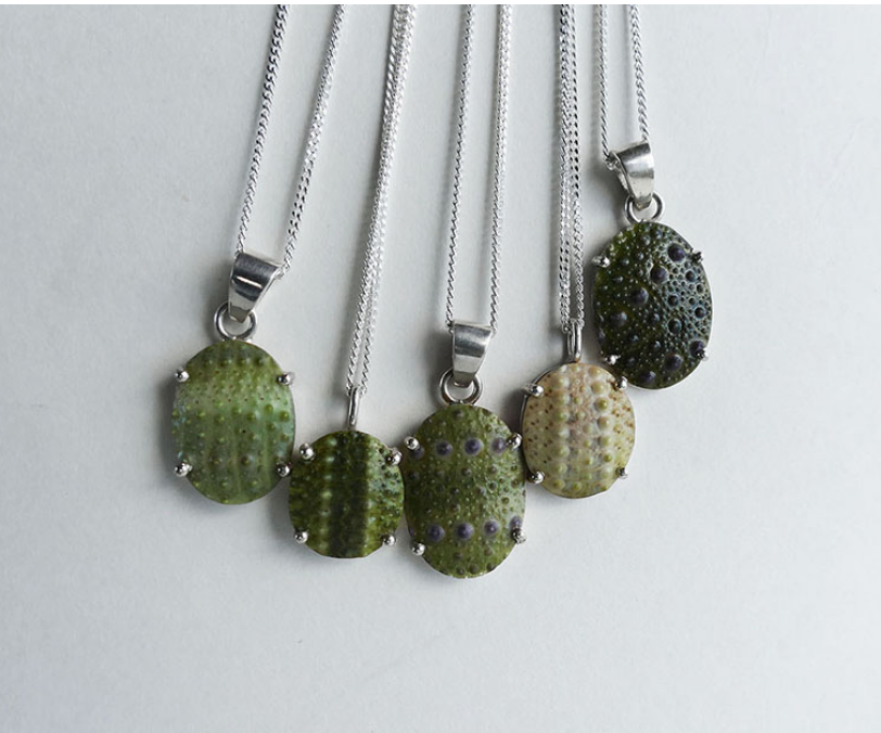 Oval Sea Urchin Necklaces