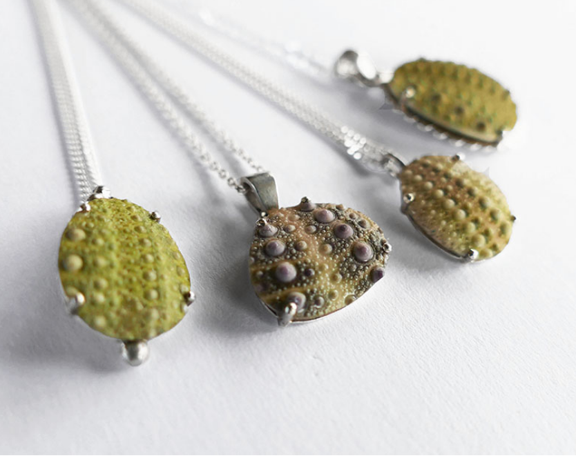 Oval Sea Urchin Necklaces