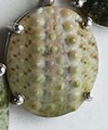 Oval Sea Urchin Necklaces