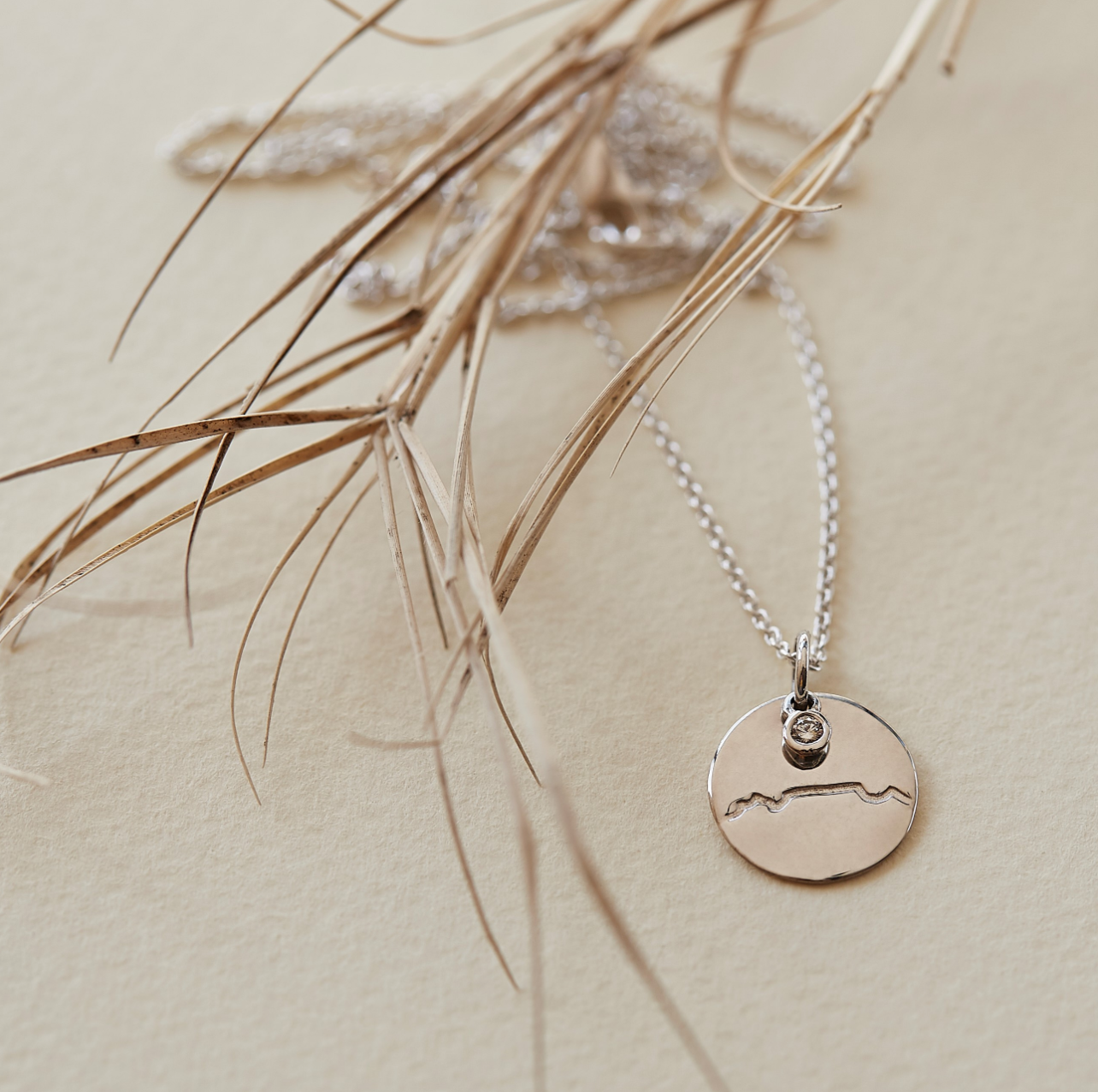 Table Mountain Disc Necklace